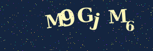 Validation image