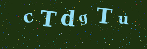 Validation image