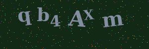 Validation image