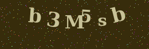 Validation image