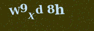 Validation image