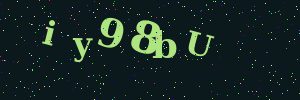 Validation image