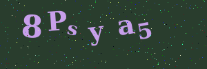 Validation image