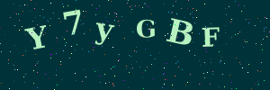 Validation image
